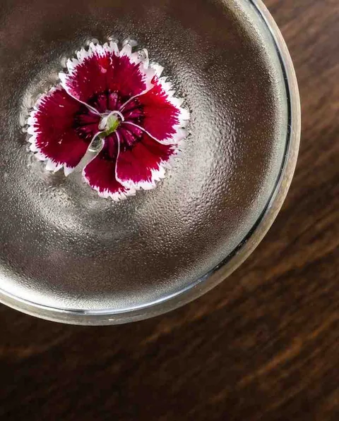 Patagonia top-down with dianthus flower